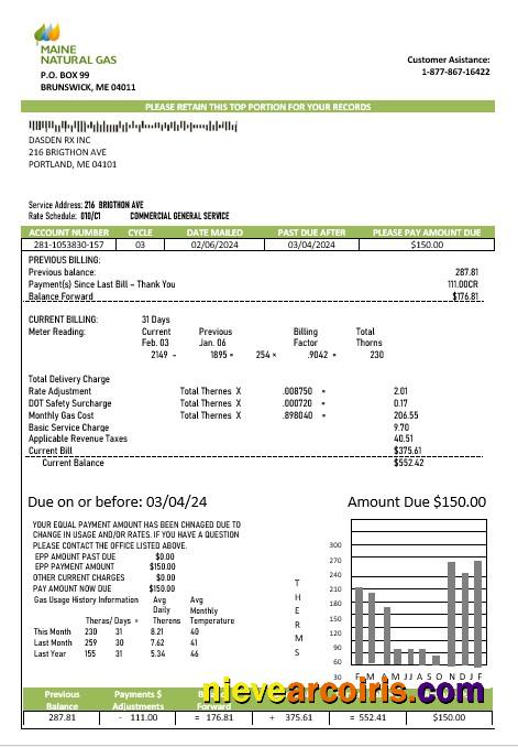 USA Maine Natural Gas Portland business utility bill